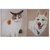 Portrete Animale de Companie in tehnica pastel, culoare sau monocrom